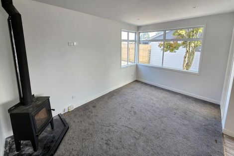 Photo of property in 119a Hamlet Street, Stratford, 4332