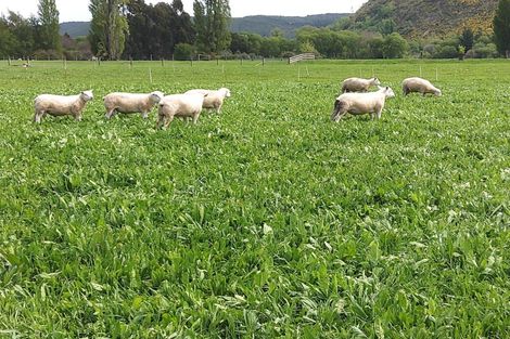 Photo of property in 19 Whiting Drive, Wakefield, 7025