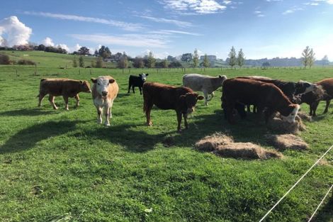 Photo of property in 30 Howden Road, Whatawhata, Hamilton, 3289