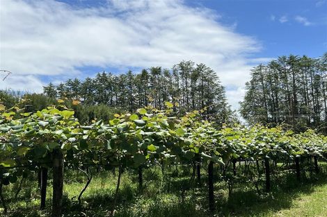 Photo of property in 123 Wiroa Road, Kerikeri, 0293