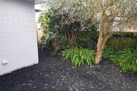 Photo of property in 3a Upper Kingsley Street, Leamington, Cambridge, 3432