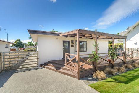 Photo of property in 478 Ruahine Street, Terrace End, Palmerston North, 4410