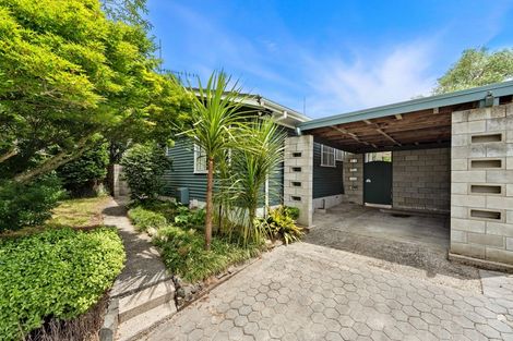 Photo of property in 30 Kowhai Street, Hamilton Lake, Hamilton, 3204