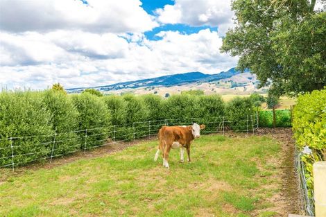 Photo of property in 533 Candy Road, Pokuru, Te Awamutu, 3875