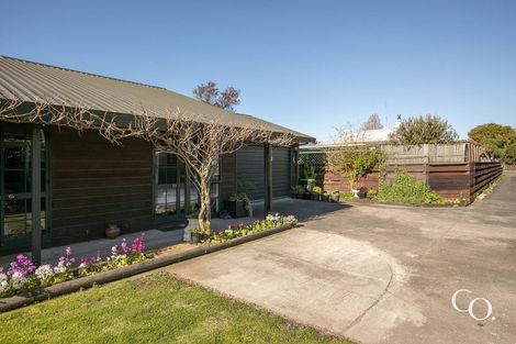 Photo of property in 1004a Konini Street, Mahora, Hastings, 4120