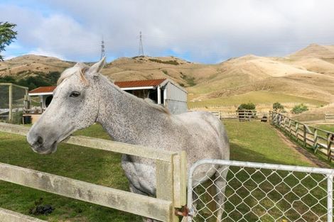 Photo of property in 355 Ohariu Valley Road, Ohariu, Wellington, 6037