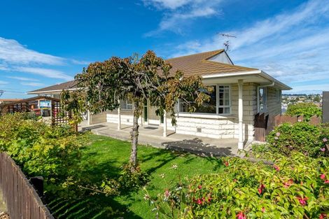 Photo of property in 161b Eglinton Road, Mornington, Dunedin, 9011