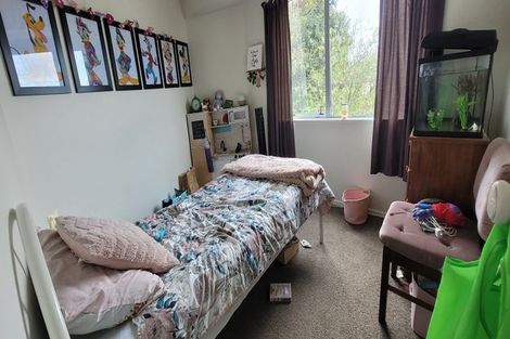 Photo of property in 23b Chadwick Road, Greerton, Tauranga, 3112