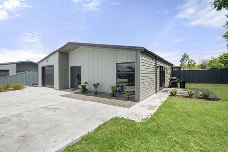Photo of property in 44 Plains Avenue, Masterton, 5810