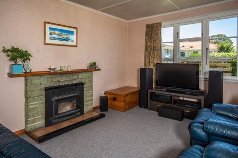 Photo of property in 28 Stratford Street, Blenheim, 7201