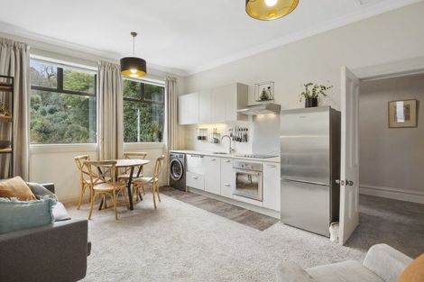 Photo of property in 41 Littlebourne Road, Roslyn, Dunedin, 9010