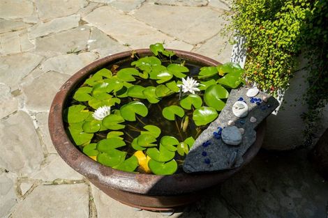 Photo of property in 189 Waikino Road, Karetu, Kawakawa, 0283