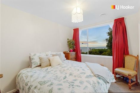 Photo of property in 156 Shag Point Road, Shag Point, Palmerston, 9482