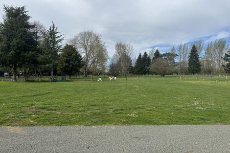 Photo of property in 8c Coles Street, Geraldine, 7930