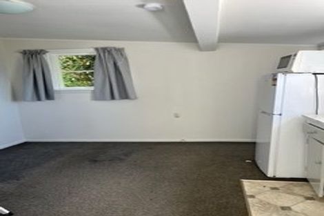 Photo of property in 45 Apuka Street, Brooklyn, Wellington, 6021