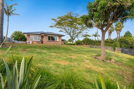 Photo of property in 47 Shelly Beach Road, Shelly Beach, Helensville, 0874