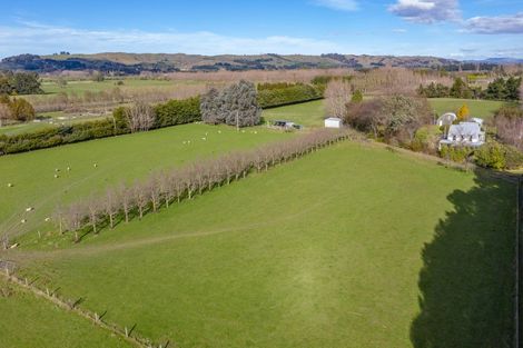 Photo of property in 104 Masterton Castlepoint Road, Te Ore Ore, Masterton, 5886