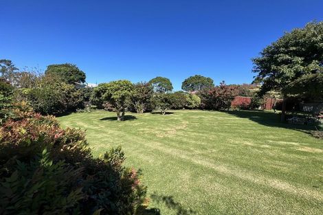 Photo of property in 21 Park Lane, Waitara, 4320