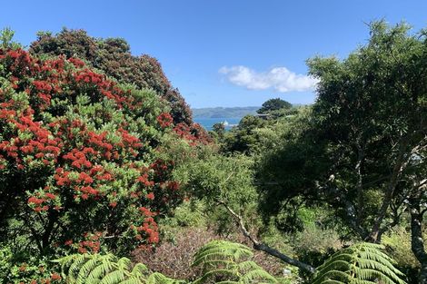 Photo of property in 21 Kaitawa Road, York Bay, Lower Hutt, 5013