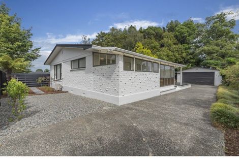 Photo of property in 183 Titi Road, Mauku, Pukekohe, 2678