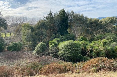 Photo of property in 19 Te Heke Place, Waikanae, 5036