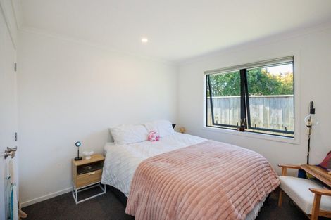 Photo of property in 27b Tyne Street, Roslyn, Palmerston North, 4414
