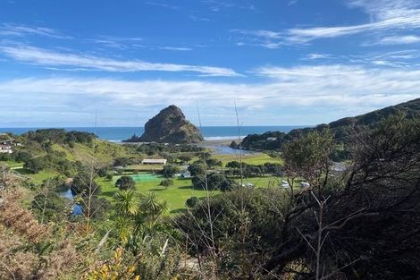 Photo of property in 52 Seaview Road, Piha, 0772