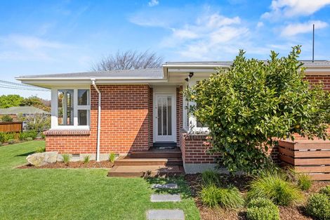 Photo of property in 31 Flower Street, Bryndwr, Christchurch, 8053