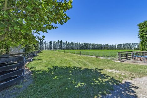 Photo of property in 347 Wakanui Road, Elgin, Ashburton, 7777