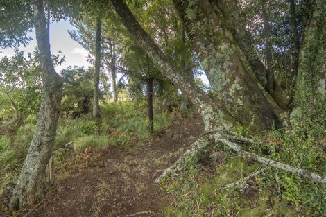 Photo of property in 1039a Work Road, Whakamarama, Katikati, 3181