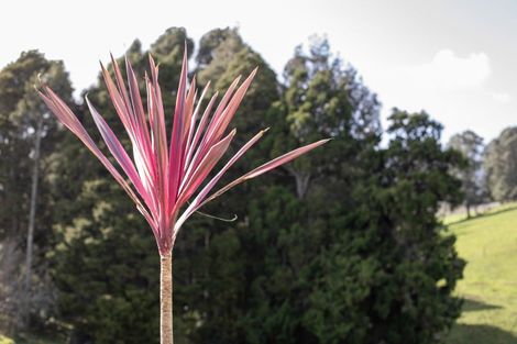 Photo of property in 49b Mangakino Road, Raglan, 3295