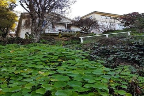 Photo of property in 13 Mortimer Terrace, Aro Valley, Wellington, 6021