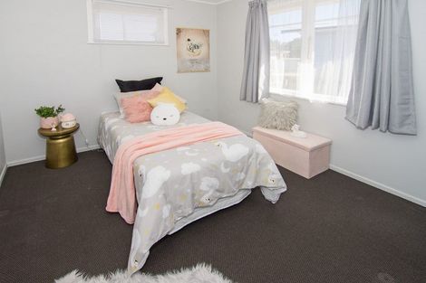 Photo of property in 26 Margaret Street, Solway, Masterton, 5810