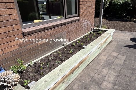 Photo of property in 2/478 Bower Avenue, Parklands, Christchurch, 8083