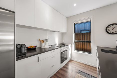 Photo of property in 219 Aubrey Road, Wanaka, 9305