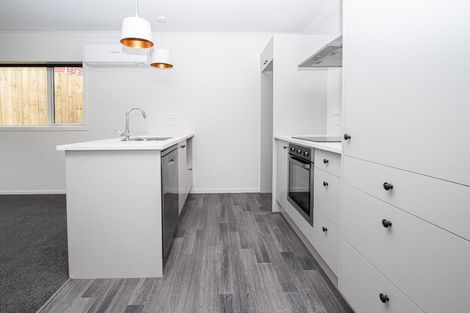 Photo of property in 16a Rothwell Street, Dinsdale, Hamilton, 3204