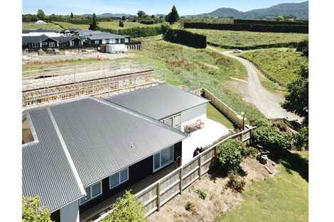 Photo of property in 85 Dunlop Road, Te Puke, 3119