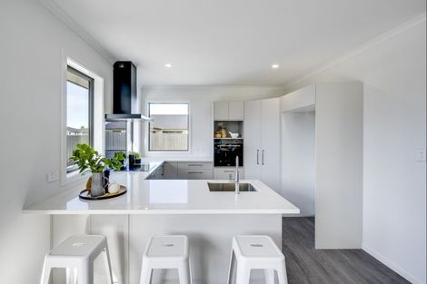 Photo of property in 17 Dinneen Close, Frimley, Hastings, 4120