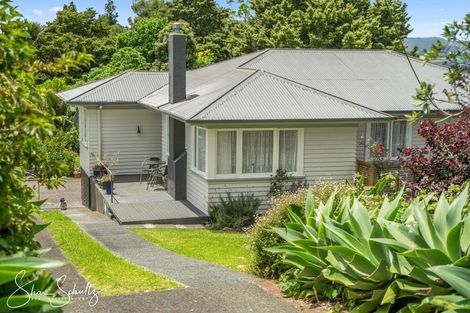 Photo of property in 45 Gorge Road, Maungaturoto, 0520