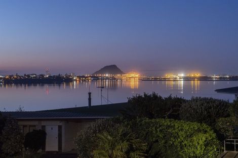 Photo of property in 39 Vine Avenue, Maungatapu, Tauranga, 3112