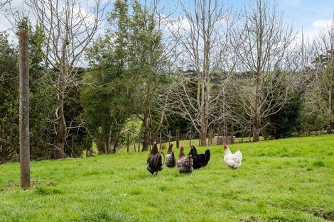 Photo of property in 458 Pukehuia Road, Tangiteroria, 0381