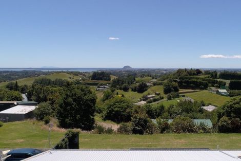 Photo of property in 229e Crawford Road, Minden, Tauranga, 3171