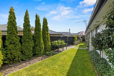 Photo of property in 3 Brockelbank Drive, Kaiapoi, 7630