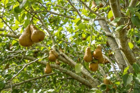 Photo of property in 366 Kaimarama Road, Kaimarama, Whitianga, 3591