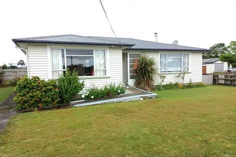 Photo of property in 91 Domett Street, Westport, 7825