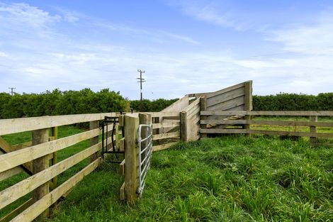 Photo of property in 405 Normanby Road, Okaiawa, Hawera, 4671