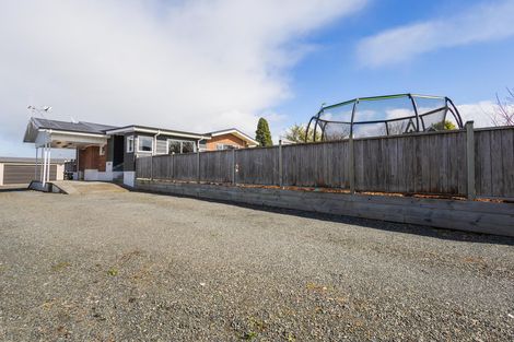 Photo of property in 157 Mcnair Road, Te Awamutu, 3800