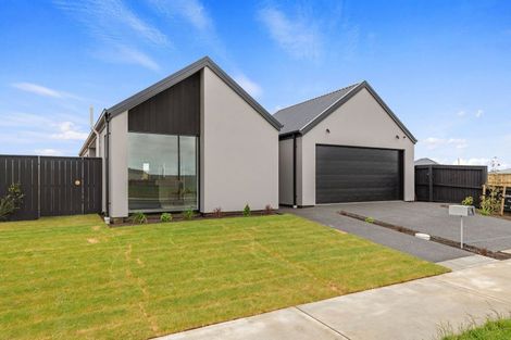 Photo of property in 76 Waikirikiri Avenue, Lincoln, 7608
