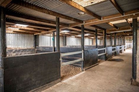 Photo of property in 2/101 Racecourse Road, Cambridge, 3493