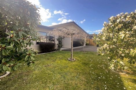 Photo of property in 36b Fitzroy Street, Terrace End, Palmerston North, 4410